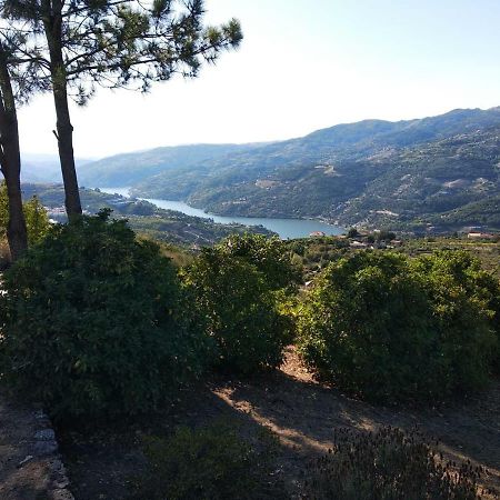 Paraiso Hills - Encostas Do Paraiso: Tranquilidade No Douro Резенде Экстерьер фото